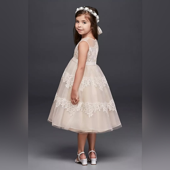 David's Bridal Banded Lace Illusion Formal Girls Dress/Gown Size 12 - Picture 3 of 17